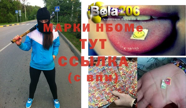 дмт Пересвет